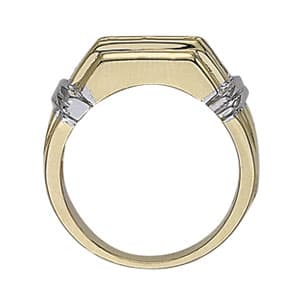 Men's Ring Channel Bands (0.8 ct. tw.), Side view in white gold or platinum