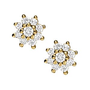 Earrings Cluster — White Gold