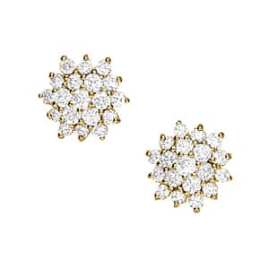Earrings Cluster — White Gold