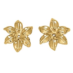 Earring Jackets — White Gold