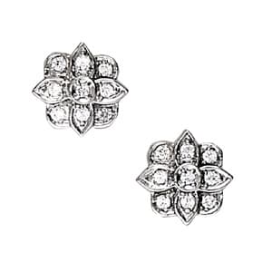 Earrings Cluster — White Gold