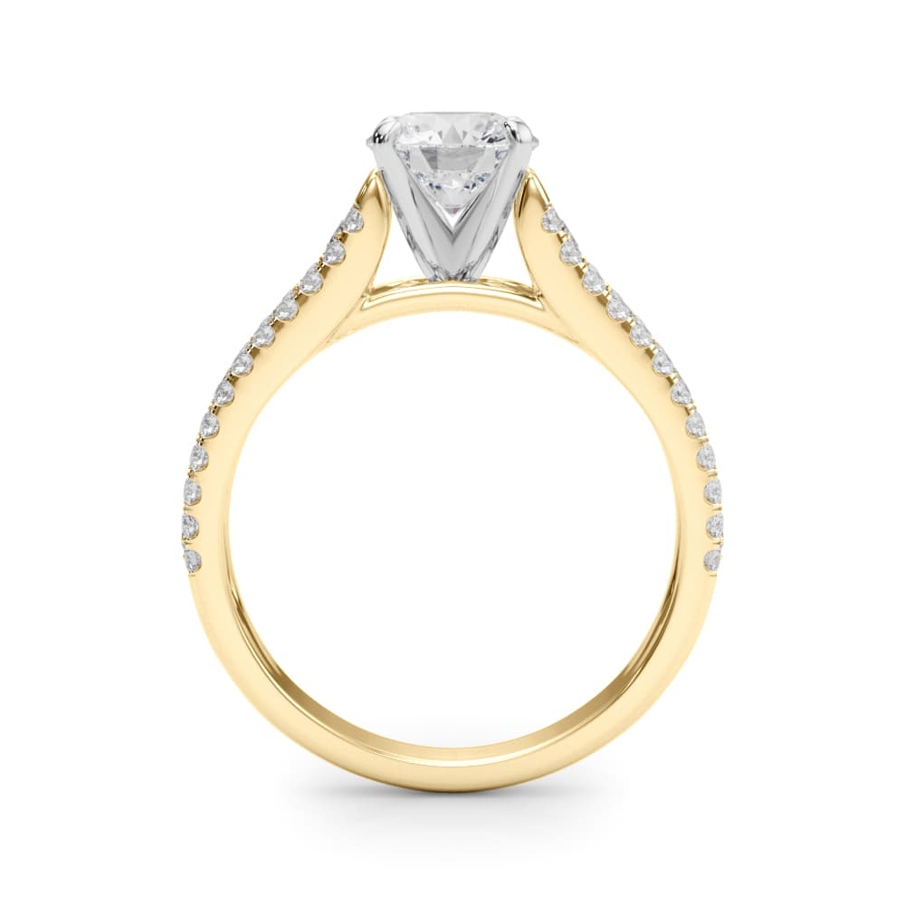 Multi-Row Cathedral Engagement Ring, style 50928, Side view in yellow gold