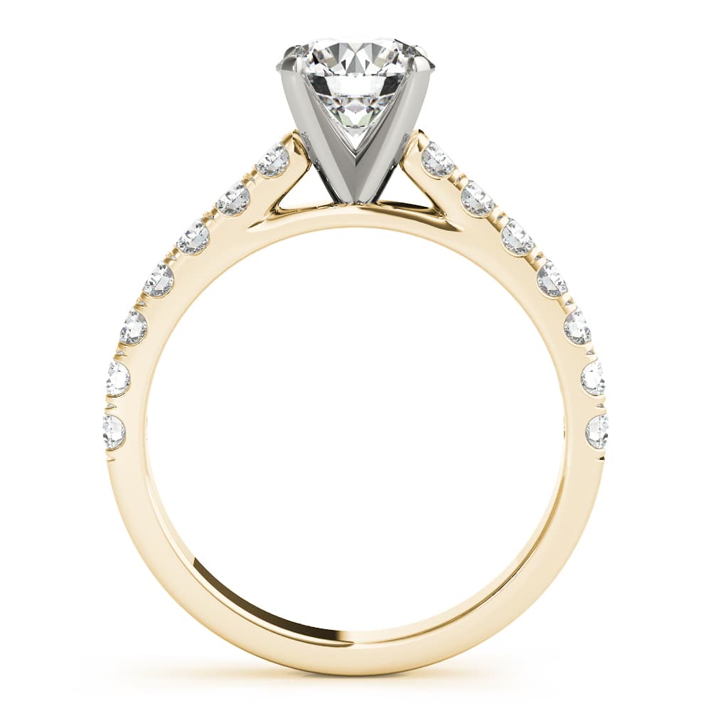 Split-Prong Cathedral Engagement Ring, style 85132, Side view in yellow gold