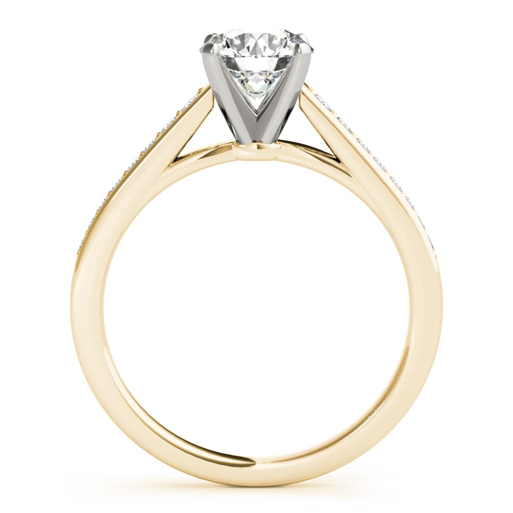 Prong In Channel Cathedral Engagement Ring, style 85153, Side view in yellow gold