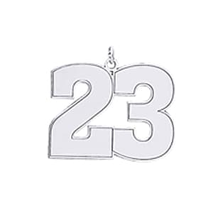 Number Plate Pendant, Side view in white gold or platinum